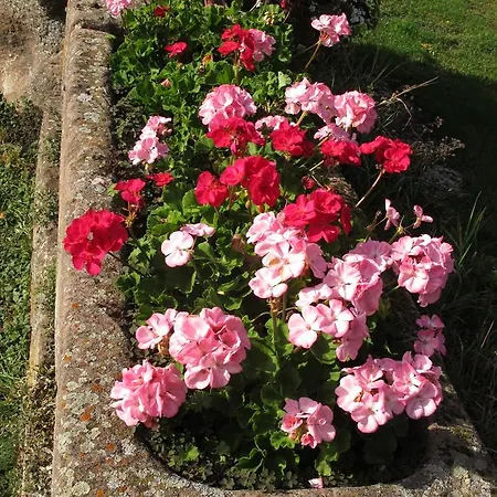 Restaurant Faller Emmebuckel