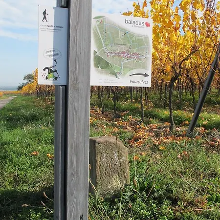 Hotel Restaurant Faller Emmebuckel