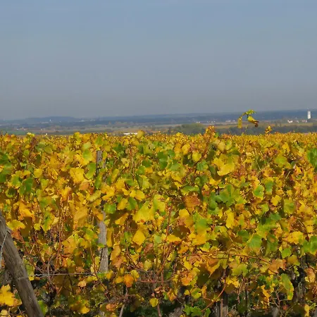 Hotel Restaurant Faller Emmebuckel 3*