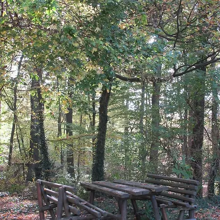 Restaurant Faller Emmebuckel Hotel