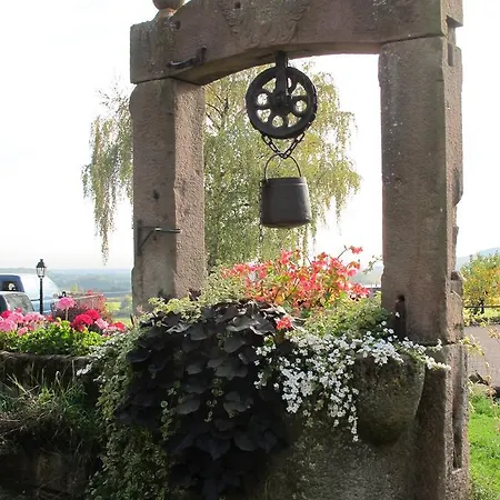 Hotel Restaurant Faller Emmebuckel Itterswiller