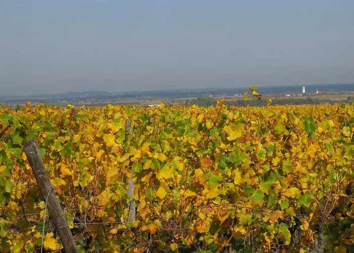 Hotel Restaurant Faller Emmebuckel 3*