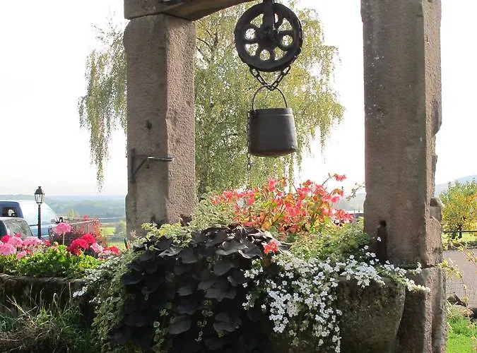 Hotel Restaurant Faller Emmebuckel Itterswiller