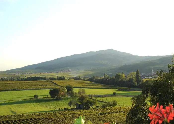 Restaurant Faller Emmebuckel Hotel